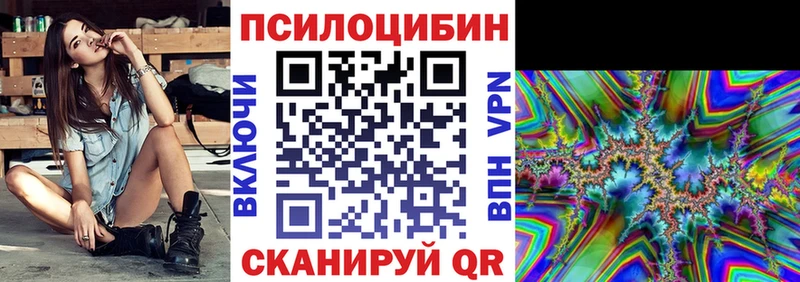 Купить где  Теберда  Псилоцибиновые грибы мицелий 